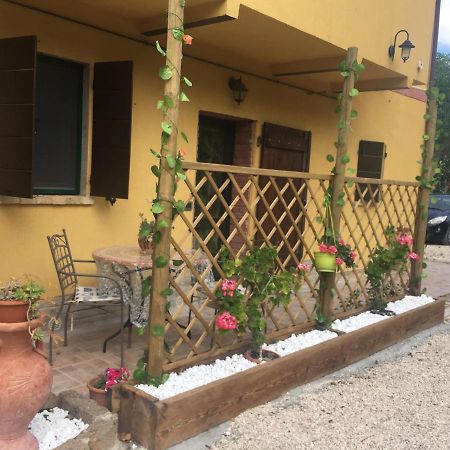 Agriturismo Fattoria Del Colle Jesi Kültér fotó