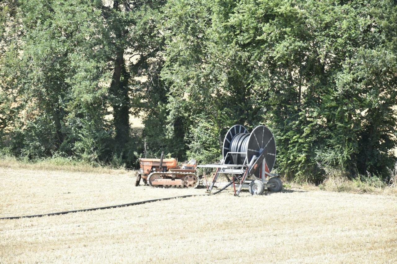 Agriturismo Fattoria Del Colle Jesi Kültér fotó