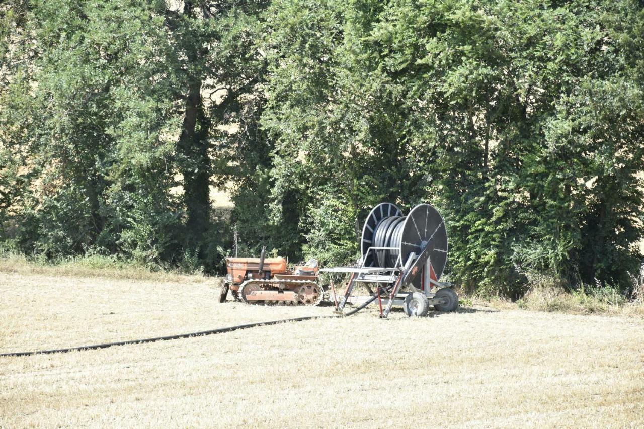 Agriturismo Fattoria Del Colle Villa Iesi Kültér fotó