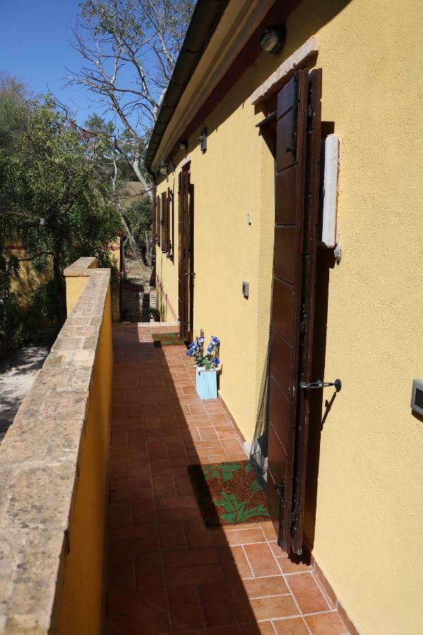 Agriturismo Fattoria Del Colle Jesi Kültér fotó