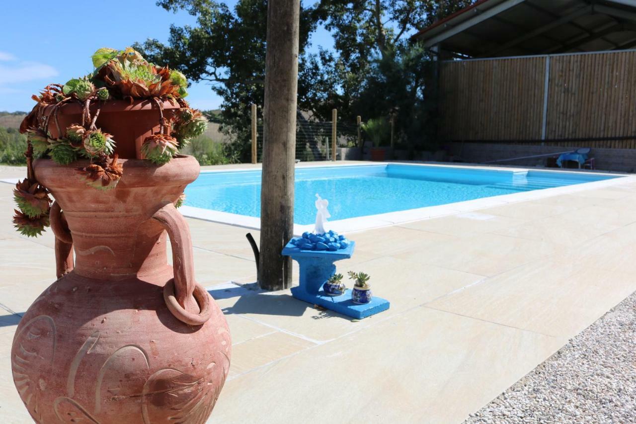 Agriturismo Fattoria Del Colle Jesi Kültér fotó