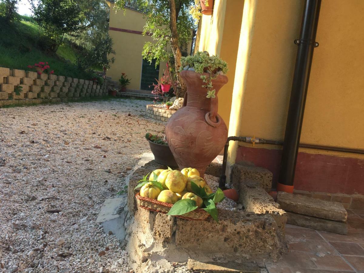 Agriturismo Fattoria Del Colle Jesi Kültér fotó
