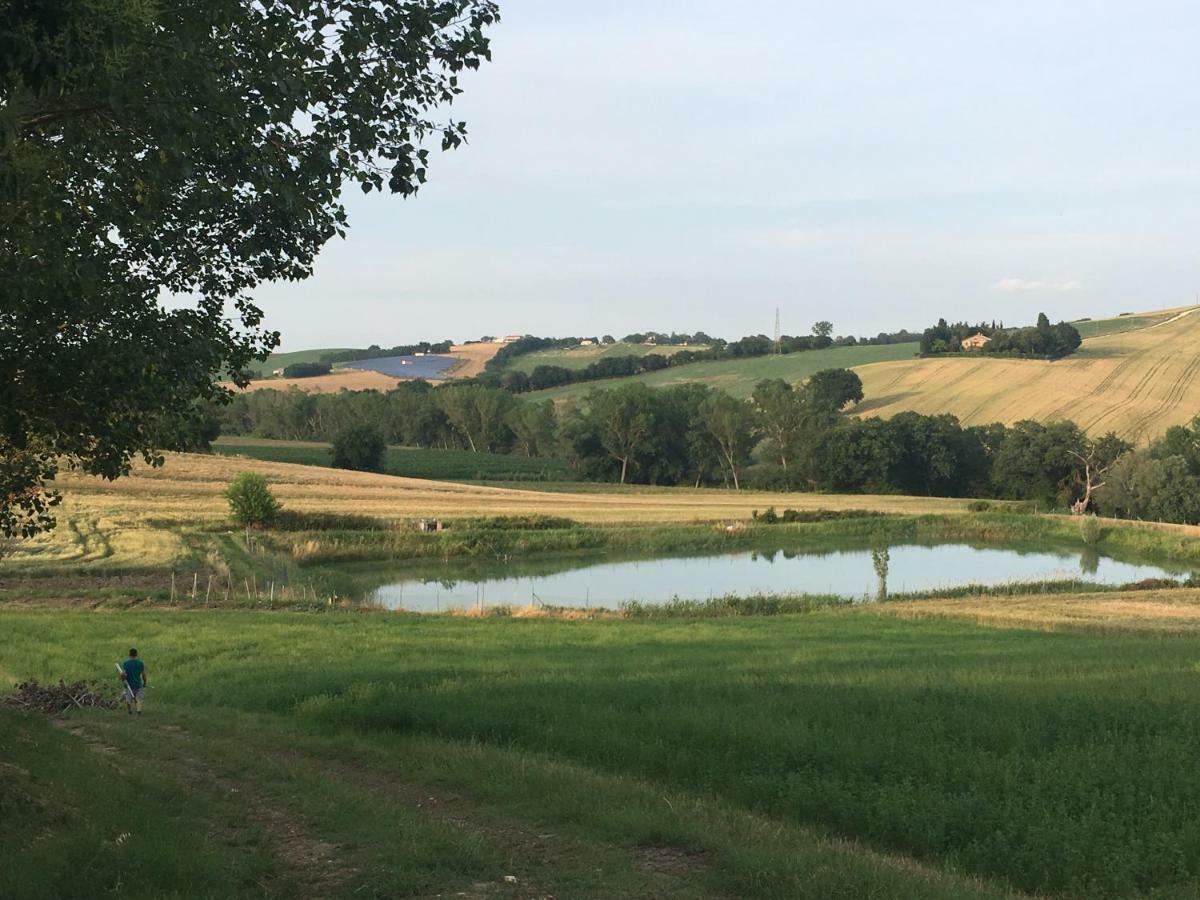 Agriturismo Fattoria Del Colle Villa Iesi Kültér fotó