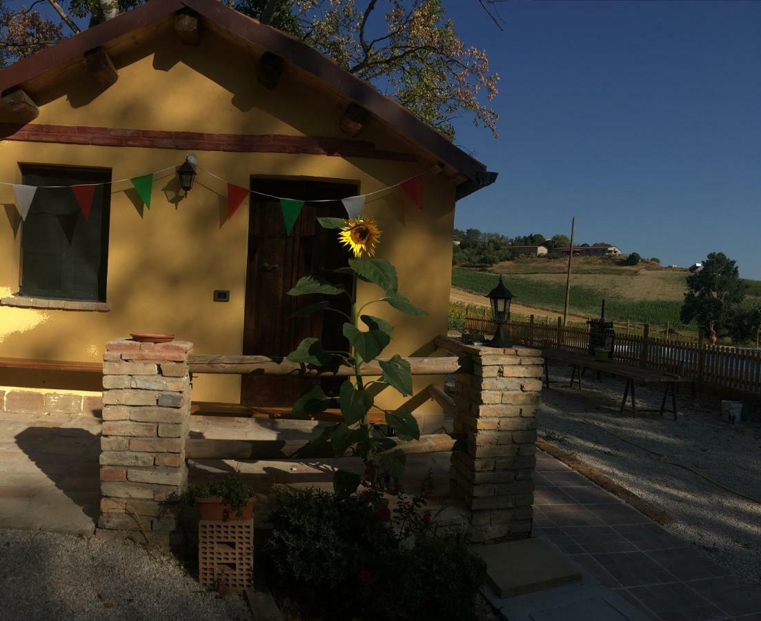 Agriturismo Fattoria Del Colle Jesi Kültér fotó