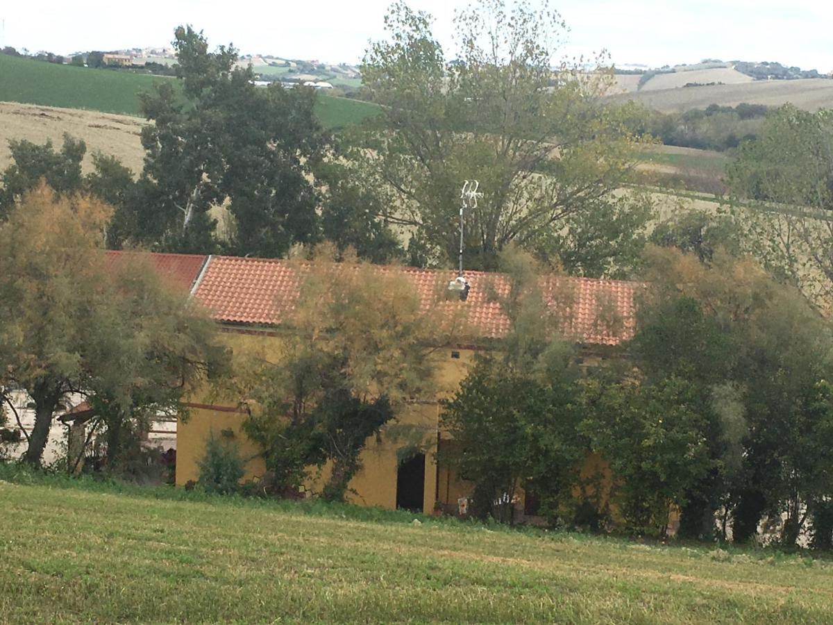 Agriturismo Fattoria Del Colle Villa Iesi Kültér fotó