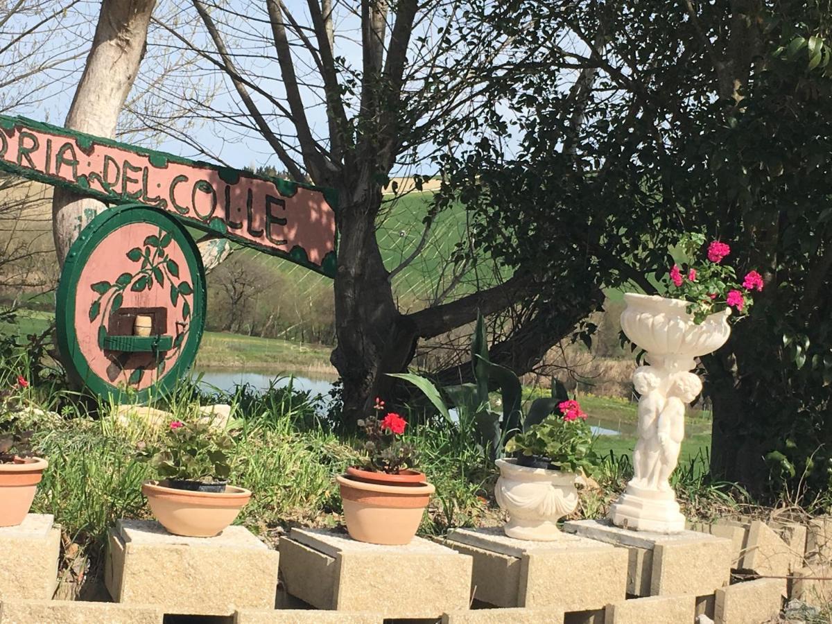 Agriturismo Fattoria Del Colle Jesi Kültér fotó