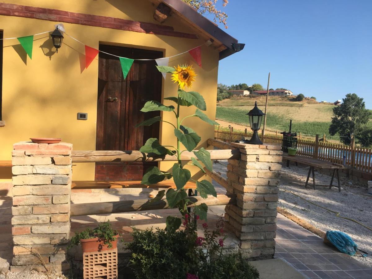 Agriturismo Fattoria Del Colle Jesi Kültér fotó