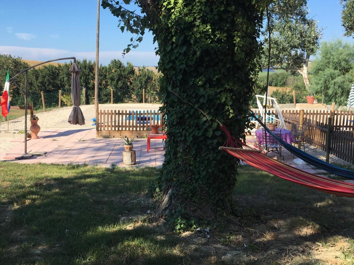Agriturismo Fattoria Del Colle Jesi Kültér fotó