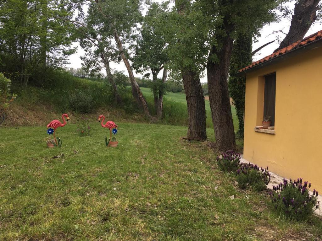 Agriturismo Fattoria Del Colle Jesi Kültér fotó