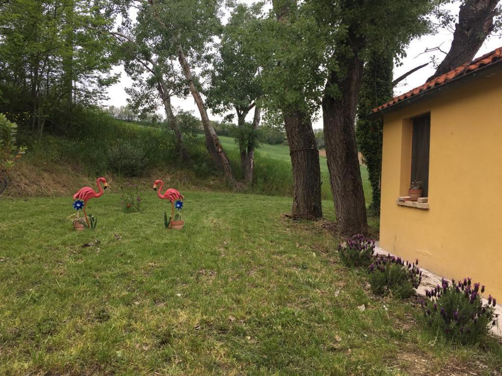 Agriturismo Fattoria Del Colle Villa Iesi Kültér fotó