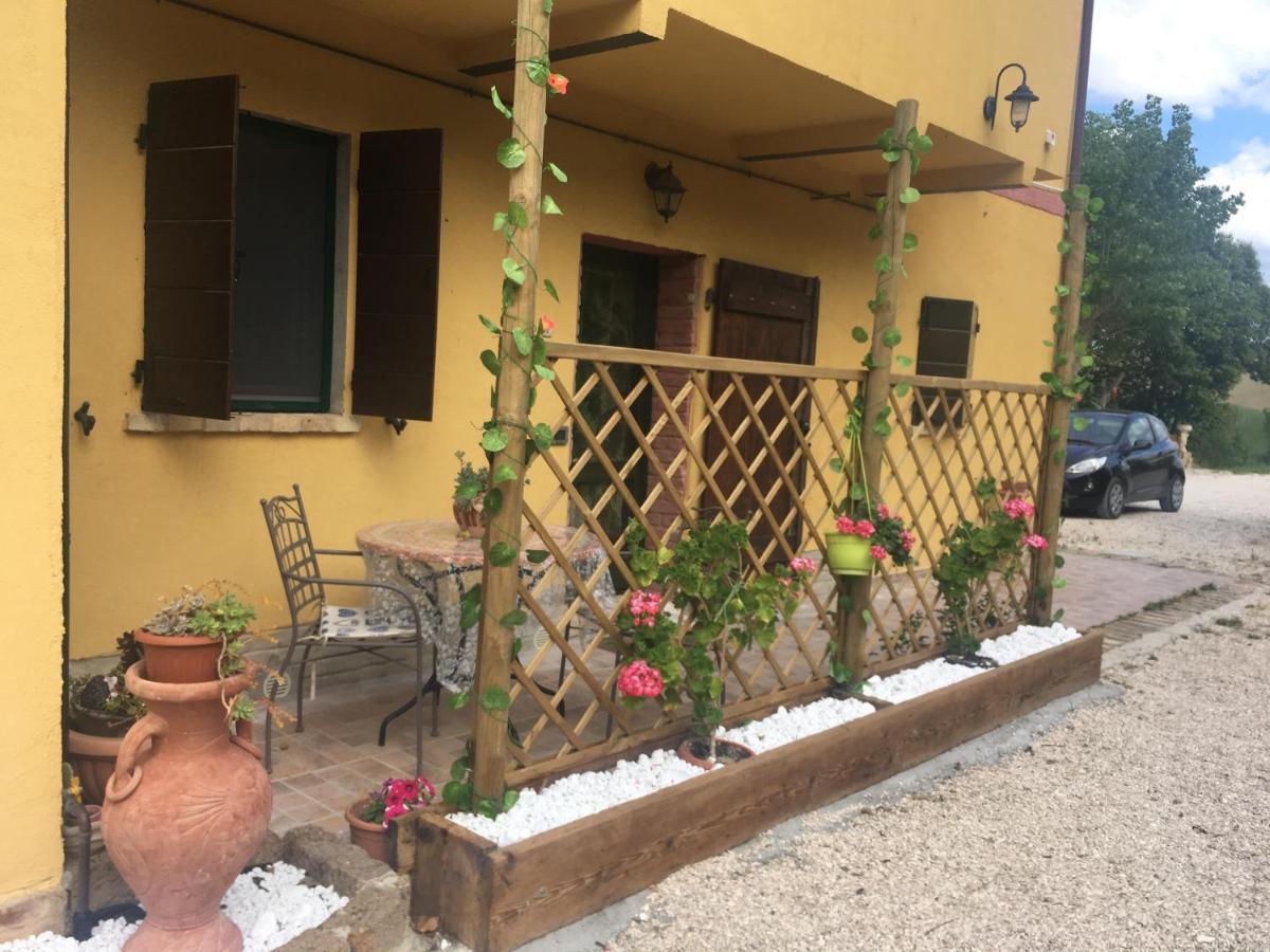Agriturismo Fattoria Del Colle Jesi Kültér fotó