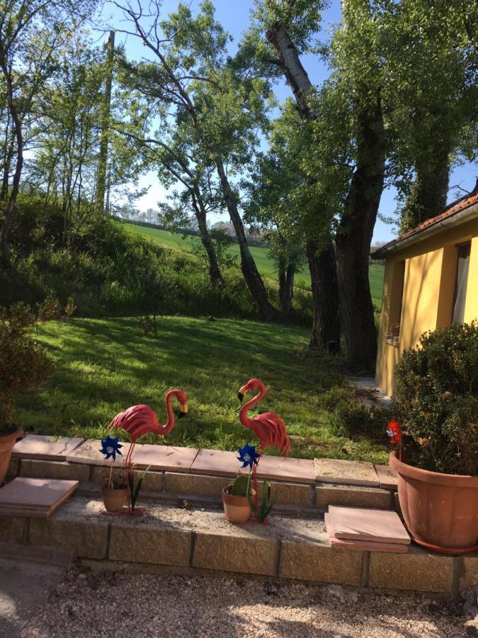 Agriturismo Fattoria Del Colle Villa Iesi Kültér fotó