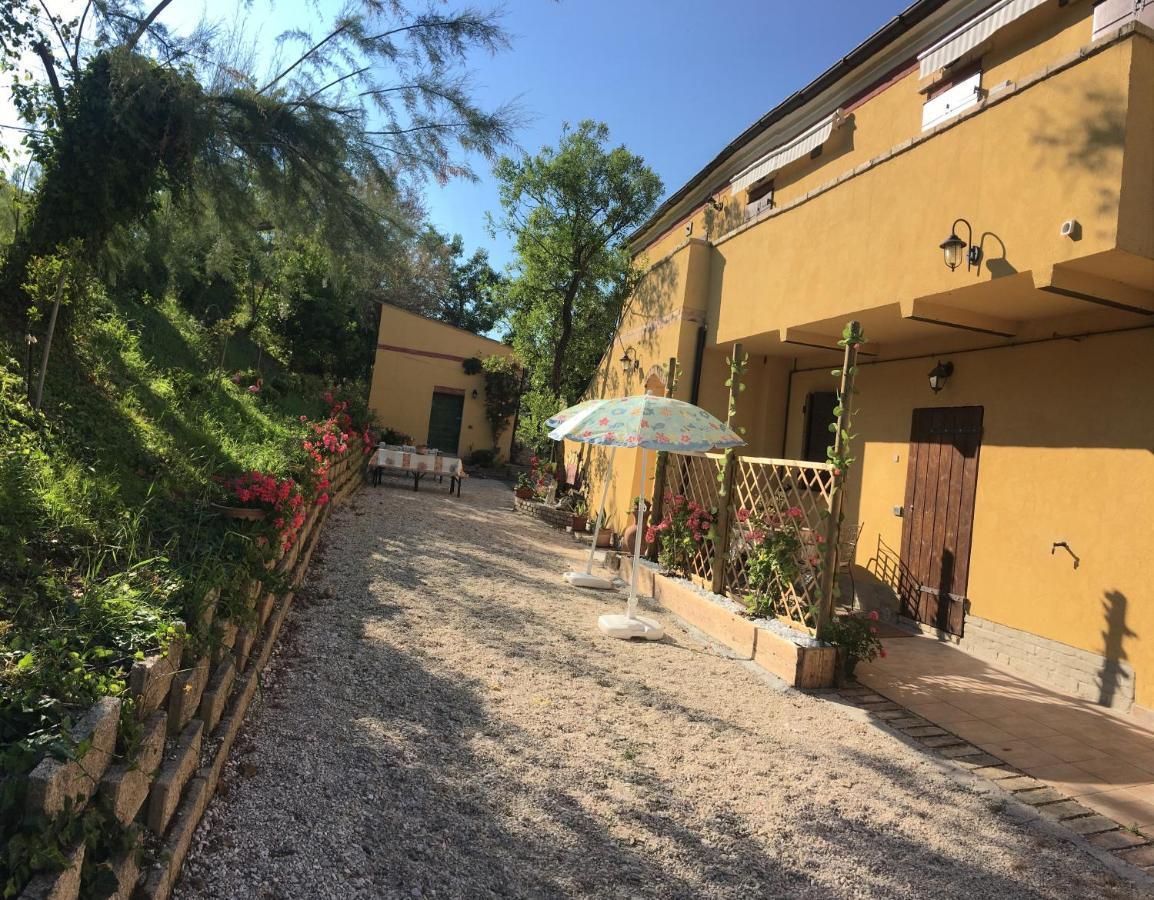 Agriturismo Fattoria Del Colle Jesi Kültér fotó